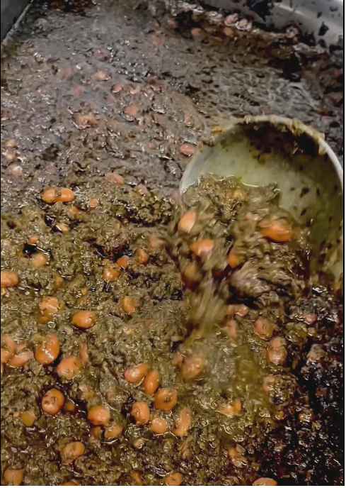 خورشت سبزی تهیه غذا قربانی